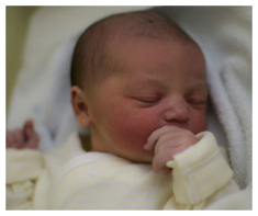 Isla May