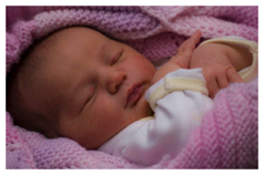 Isla May