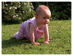 In the garden