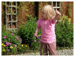 In garden