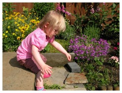 In garden