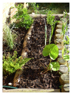 Bog Garden