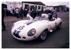 D-type Jaguar