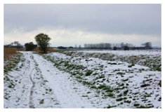 Snow 2008