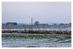 Snow 2008