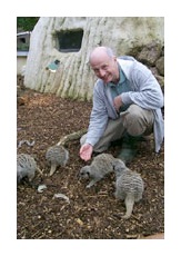 Bob and meerkat