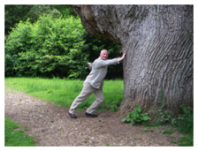 Bob pushes tree