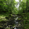 04_MorningWalk