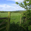 08_GateView