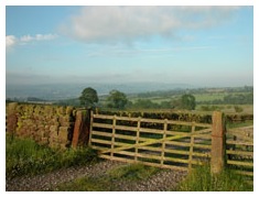 Gate view