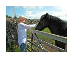 Helen with horse