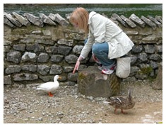 Helen feeds Jemina