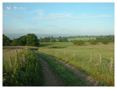 Farm path