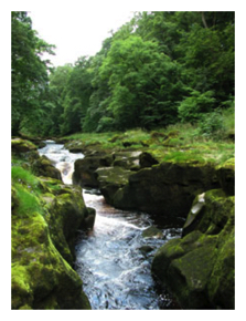 The Strid