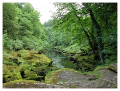 Downstream from the Strid