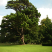 04_CroftCastle