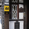 17_LudlowFeathers