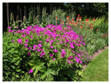 Garden border
