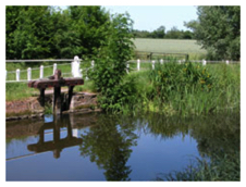 Mill stream