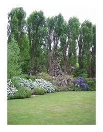 Lawn scene