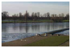 Lake view