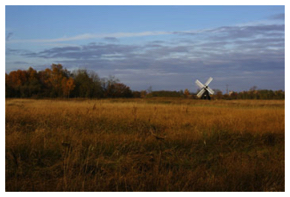 View with windmill